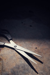 Similar image 8726330