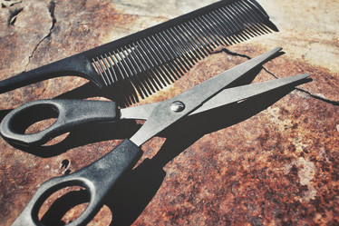 Similar image 8726339