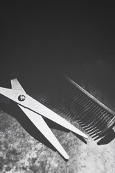 Similar image 8726343