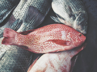 Similar image 8726359