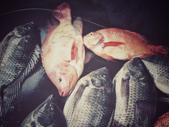 Similar image 8726361