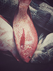 Similar image 8726363