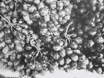 Similar image 8726365