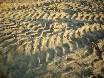 Similar image 8726468