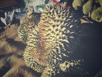 Similar image 8726470