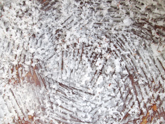 Similar image 8726478