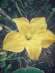 Similar image 8726480