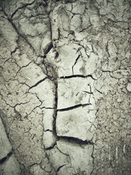 Similar image 8726482