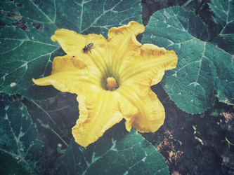 Similar image 8726483