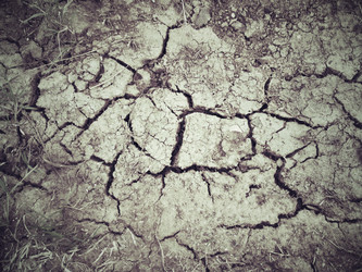 Similar image 8726485