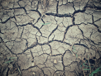 Similar image 8726491