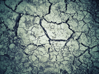 Similar image 8726492