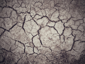 Similar image 8726494