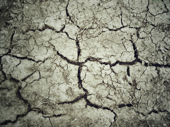 Similar image 8726507