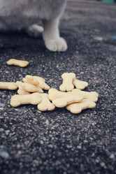 Similar image 8726663