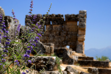 Similar image 8727765