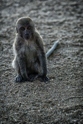 Similar image 8727772