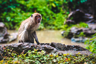 Similar image 8727775