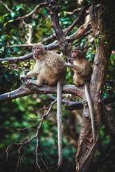 Similar image 8727777