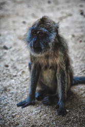 Similar image 8727779