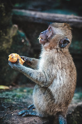 Similar image 8727781