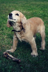 Similar image 8727782