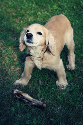 Similar image 8727784