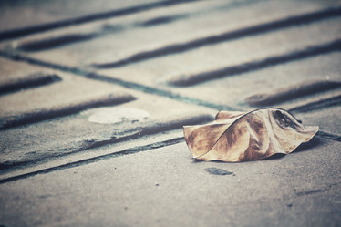 Similar image 8727815