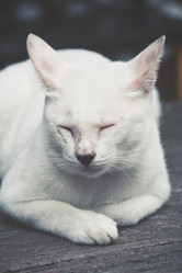 Similar image 8727826