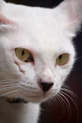 Similar image 8727827