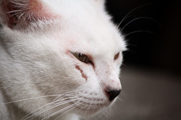 Similar image 8727828