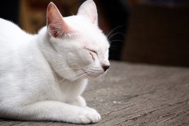 Similar image 8727829