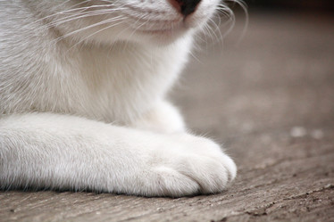 Similar image 8727831