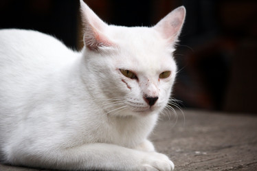 Similar image 8727832