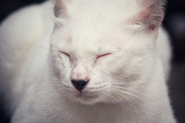 Similar image 8727833