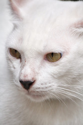 Similar image 8727834