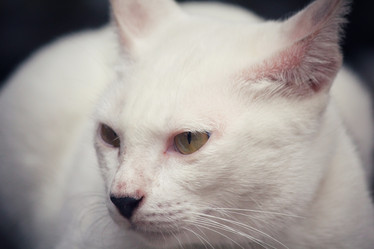 Similar image 8727835