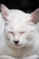 Similar image 8727838