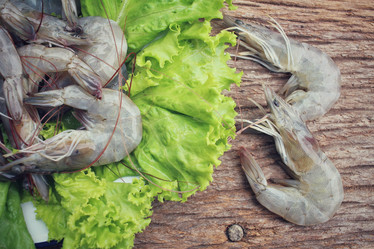 Similar image 8727841