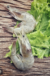 Similar image 8727842