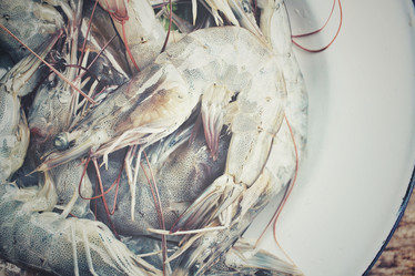 Similar image 8727843