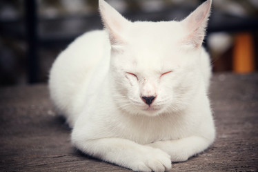 Similar image 8727844