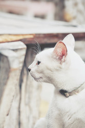 Similar image 8727873