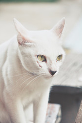 Similar image 8727875