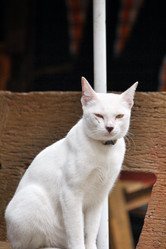 Similar image 8727876