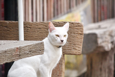 Similar image 8727877