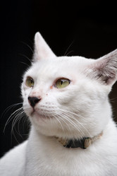 Similar image 8727879