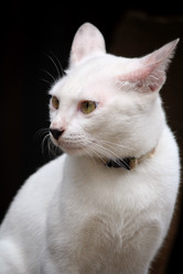 Similar image 8727880