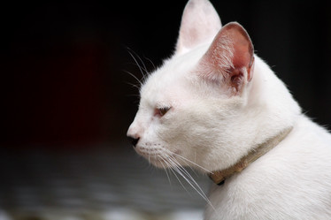 Similar image 8727881