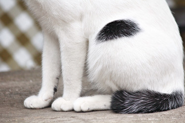 Similar image 8727883